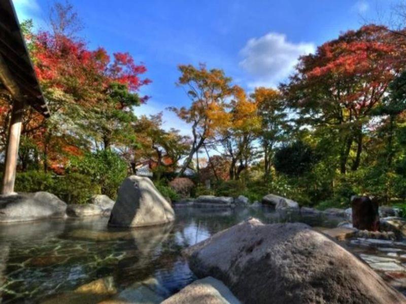Yoshiike Ryokan Hakone Zewnętrze zdjęcie