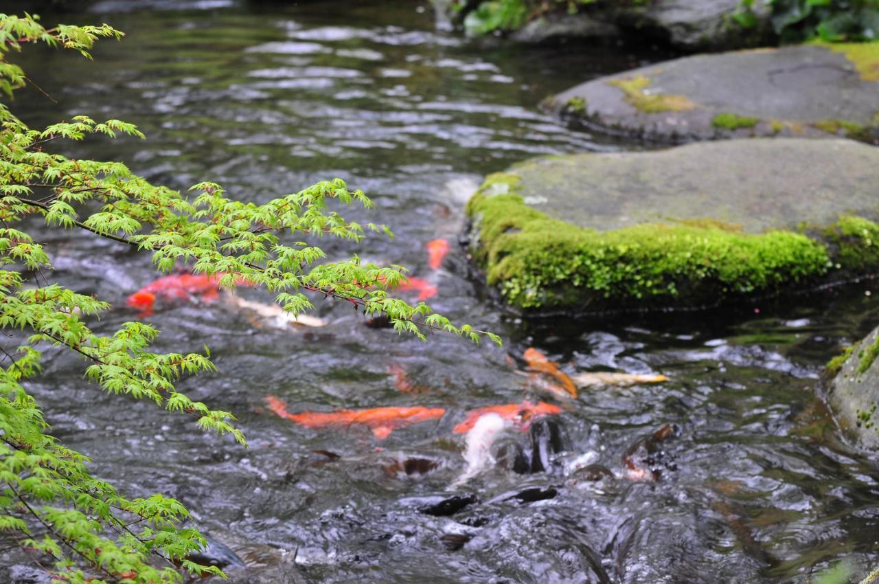 Yoshiike Ryokan Hakone Zewnętrze zdjęcie